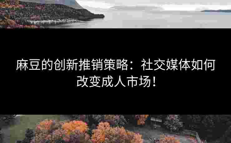 麻豆的创新推销策略：社交媒体如何改变成人市场！